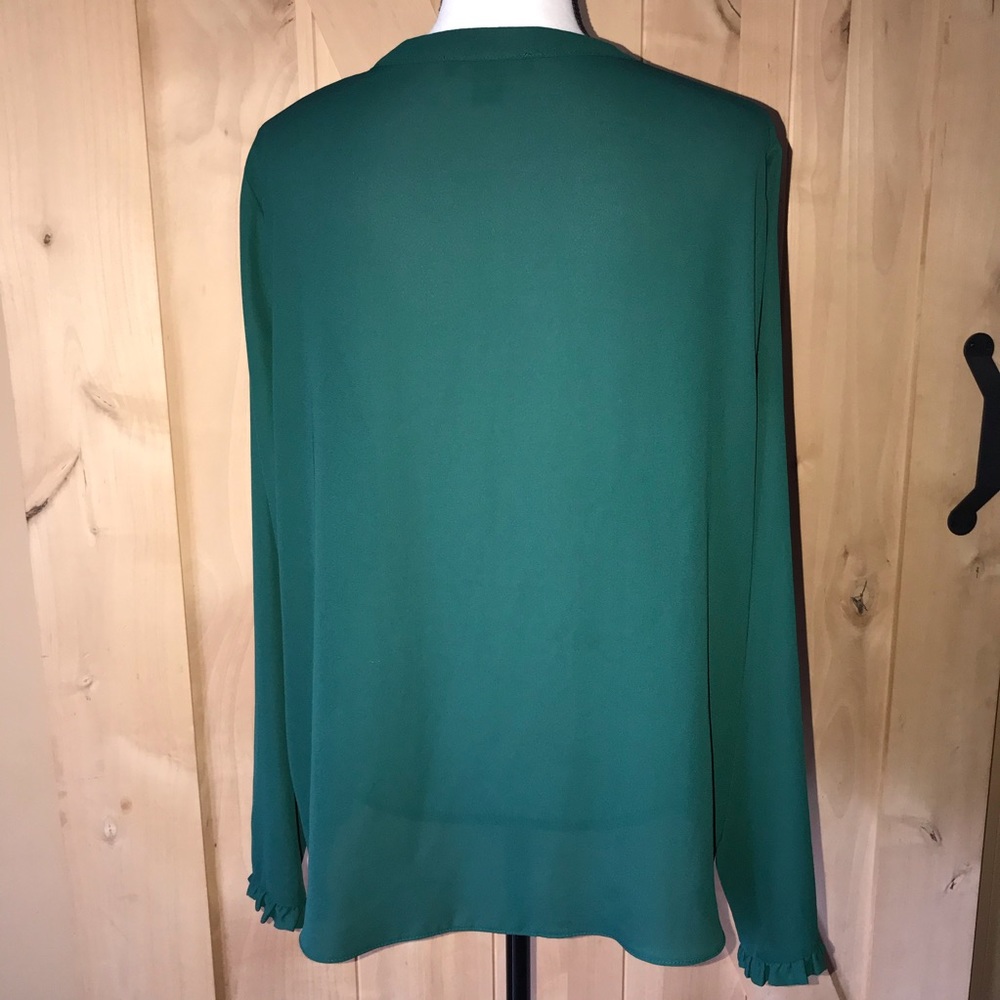 Beautiful Ruffled Button Down Blouse - EUC - Picture 3 of 8